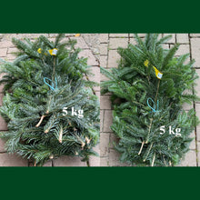 Lade das Bild in den Galerie-Viewer, Tannenreisig Nordmanntanne, 2x5kg