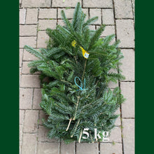 Lade das Bild in den Galerie-Viewer, Tannenzweige Nordmanntanne - 10 kg