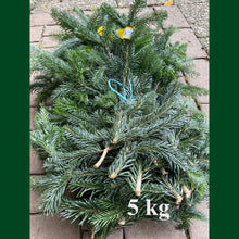 Lade das Bild in den Galerie-Viewer, Tannenzweige Nordmanntanne - 10 kg