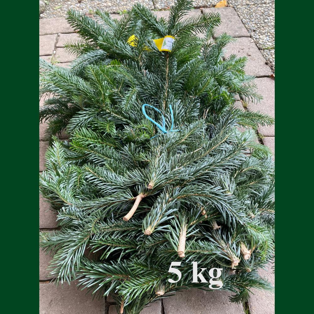 Tannenzweige online kaufen - Nordmanntanne Tannenreisig